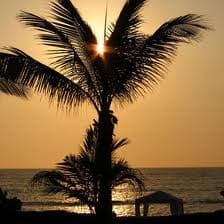 mexico sun