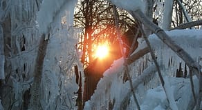 DSC06007
