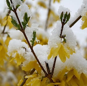 20130318_krasnodara