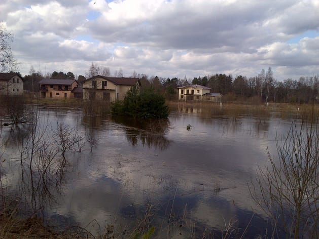 IMG-20130419-00495
