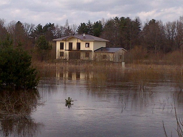 IMG-20130419-00499